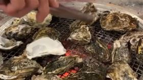 屏東,蚵仔,吃到飽,東港,食物中毒,上吐下瀉