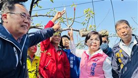 台中高接梨穗寒害嚴重  楊瓊瓔邀集會勘日前寒流來襲，台中市高接梨穗受寒害嚴重，國民黨立委楊瓊瓔（前右2）邀集相關單位人員前往會勘，爭取災害損失救助。（楊瓊瓔提供）中央社記者趙麗妍傳真  113年2月16日