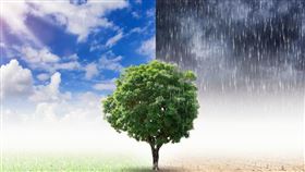 ▲春天天氣變化極大，不可掉以輕心。（圖／CANVA）