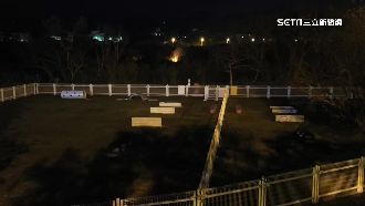 雜草火警從早燒到晚　疑因遙控飛機墜毀