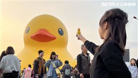 高雄,黃色小鴨,髮夾,亂象