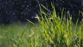 雨水(翻攝自 Pixabay)