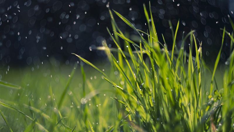 雨水「5禁忌」！命理師：2食物要少吃