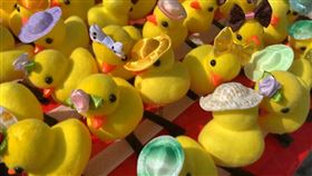 賣小鴨髮夾1天賺3萬 網揭