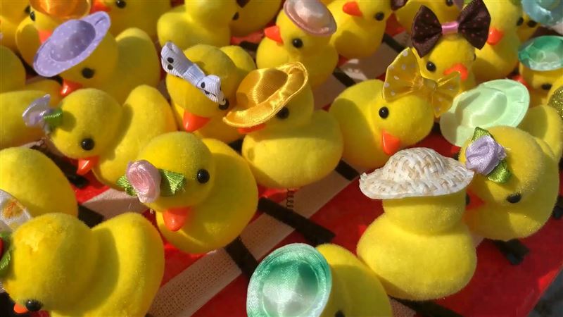 高雄,黃色小鴨|獨家／賣小鴨髮夾1天賺3萬！網揭「成本4元」暴利20倍　攤販反駁 | 生活 | 三立新聞網  SETN.COM