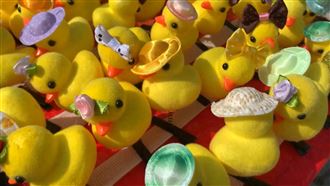 小鴨髮夾1天賺3萬　網揭成本4元暴利20倍