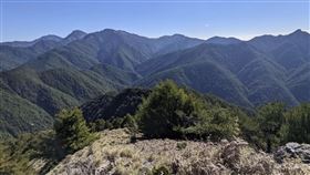 鹿山,獨攀,墜谷（圖／翻攝自Google Map）