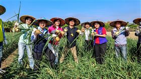 林園洋蔥豐年季,高雄市政府,陳其邁