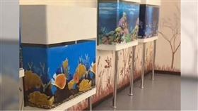 山西太原動物園科普教育館的貼畫，展示的是動物的習性和分佈等情況。（圖／微博）