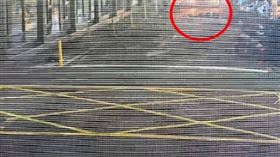 北市大安區忠孝東路四段19日晚間，一名32歲的洪姓男子泥醉躺路中，被按喇叭後竟爆起狂拉車門。(圖／翻攝畫面)