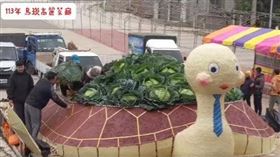 ▲馬公烏崁靖海宮的高麗菜龜王（圖／翻攝自嶼感行為粉專）