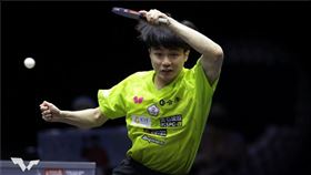 ▲台灣桌球好手林昀儒。（資料圖／翻攝自WTT官網）