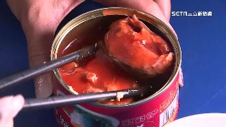 鯖魚罐頭紅、黃色差在哪？內行人揭真相