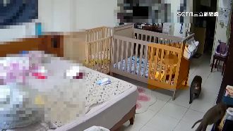 柴山獼猴闖民宅搜刮食物　1歲男童嚇哭