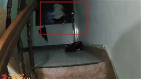 新北,三重,通緝,跑酷,毒品,