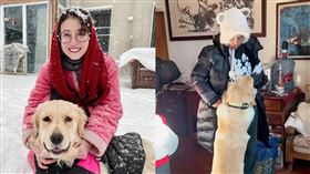 周海媚。（圖／翻攝自微博）