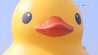 黃色小鴨台語考倒年輕人！正確發音曝光