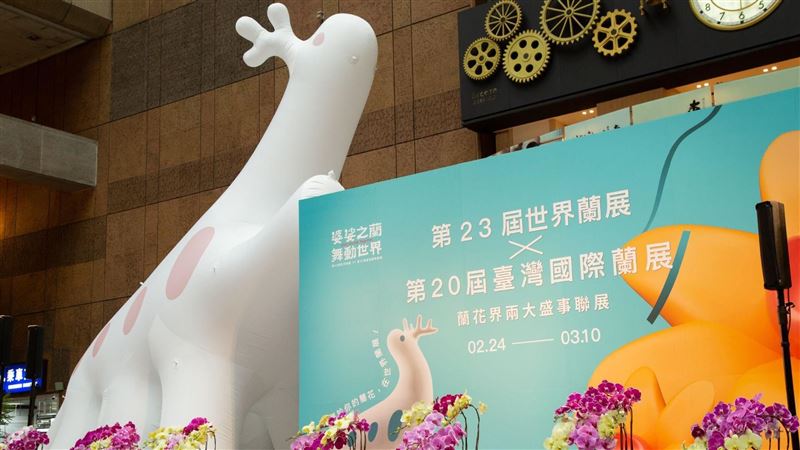 「臺灣國際蘭展」首度攜手「世界蘭展」！