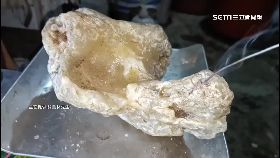 A綠島龍涎香0830