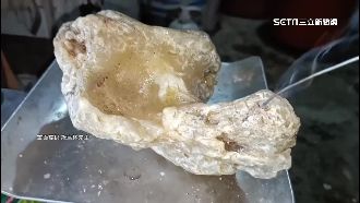 海邊「撿到寶」！綠島男拾怪石疑龍涎香