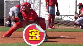 ▲紅人隊出動「布偶」訓練本壘攻防戰。（圖／翻攝自紅人推特）