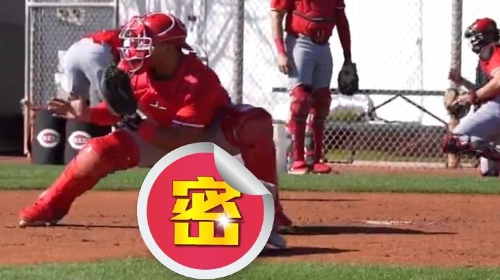 本壘攻防怎麼練？　大聯盟這隊「出奇招」