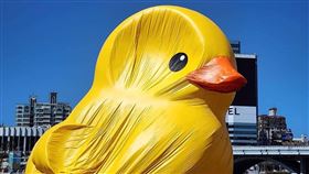 高雄,黃色小鴨,風大,消風