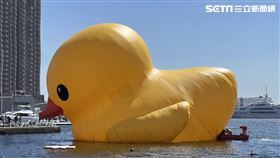 高雄,黃色小鴨,消風,風大,觀光局