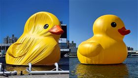 黃色小鴨。（合成圖／翻攝自邱俊憲、陳其邁臉書）