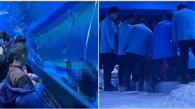 中國海洋館潛水員在企鵝池進行作業時溺亡（圖／翻攝自揚子晚報微博）