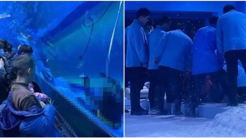 海洋館潛水員溺亡　遊客盯看：以為是假人