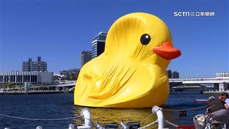 消風黃色小鴨滿血復活　遊客抵愛河拍萌照