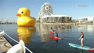 870萬人次朝聖參觀　黃色小鴨今道Bye Bye