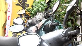 文 控換胎被坑1800