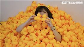 高雄,青年局,黃色小鴨,港快跑鴨,海洋