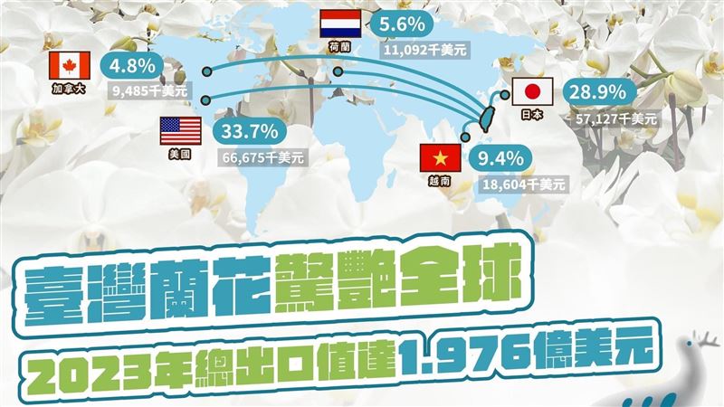 臺灣蘭花驚艷全世界年外銷值超過60億
