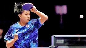 台灣桌球一哥林昀儒。（資料圖／取自ＷＴＴ官網）