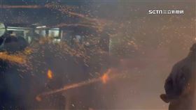 「搶春牛」今晚登場　市府預估50萬人次參與