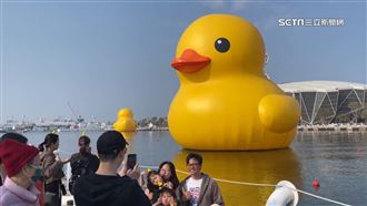 好捨不得鴨！遊客把握最後賞鴨日拍照打卡