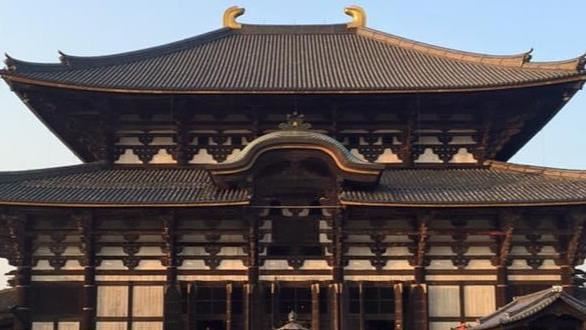 台灣人遭撞亡　日本高齡駕駛暴衝1死1傷
