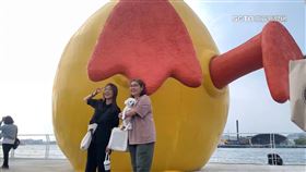 獨家／不說掰掰！港邊暴紅「屁屁鴨」擬移置續展