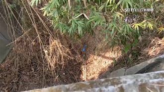 養雞場員工遭殺棄屍　女兒控凶手預謀殺人