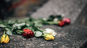 恐攻https://www.flickr.com/photos/26344495@N05/51002652444/in/photolist-2kGVVEC-wxC5Q-2p9pWwt-2kiizjS-t4SWjj-Curwec-2ne91Di-ApigiD-2mgeGG1-AeG8n9-2n6izSx-2kQgVU6-vTP2E-qJ8h8A-2n8UTUv-2mdbG6D-2o1YQrZ-2mK