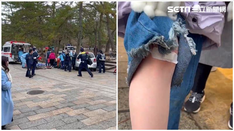 台籍男跟團遊日遭土產商撞死　現場畫面曝
