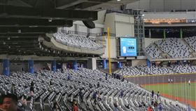 台北大巨蛋，記者楊澍攝影