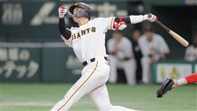 讀賣巨人強打坂本勇人將隨隊來台。（圖／聯合數位文創提供）