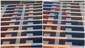 爬牆,桃園,攻堅,逃命（圖／翻攝畫面）