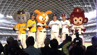 巨人軍訪台非國際賽　遠雄：北市認定模糊