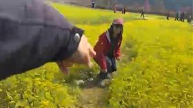 武陵農場「大媽硬踩花田」拍照！直播全錄下　網開轟：沒公德心（圖／翻攝自臉書）