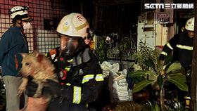 台南,新化,民宅,火警,貓狗